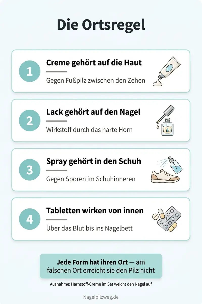 Infografik: Die Ortsregel — welches Mittel wohin gehört