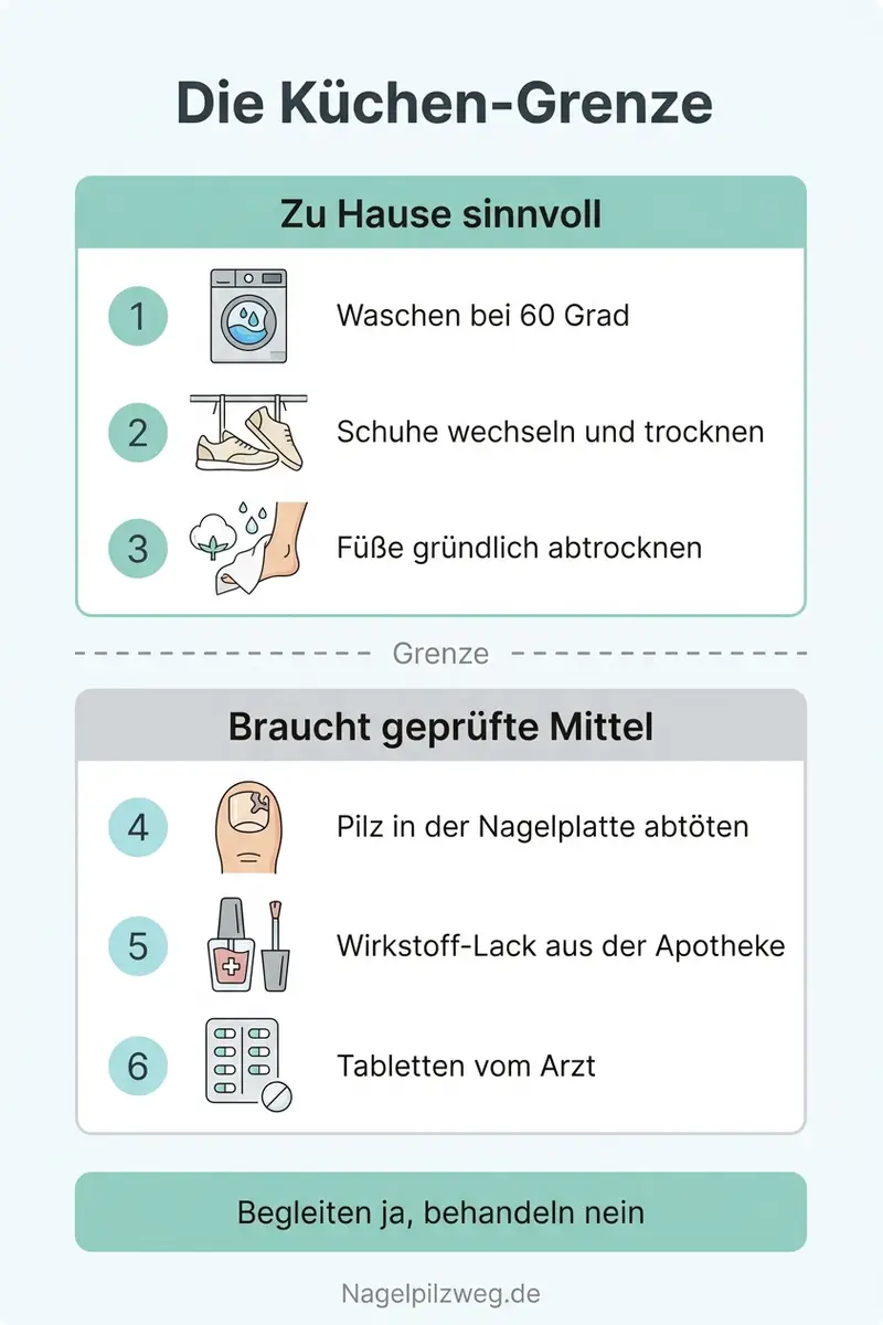 Infografik: Die Küchen-Grenze zwischen Begleitung und Behandlung