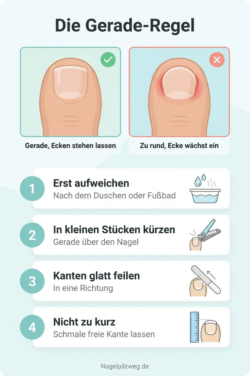Infografik: Die Gerade-Regel für den Nagelschnitt