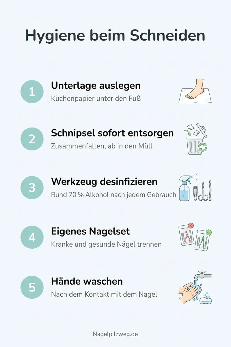 Infografik: Die Hygiene-Schritte beim Schneiden eines Pilznagels