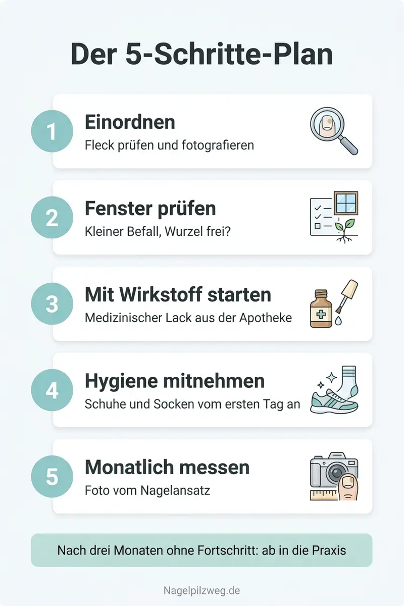 Infografik: Der Fünf-Schritte-Plan fürs Anfangsstadium