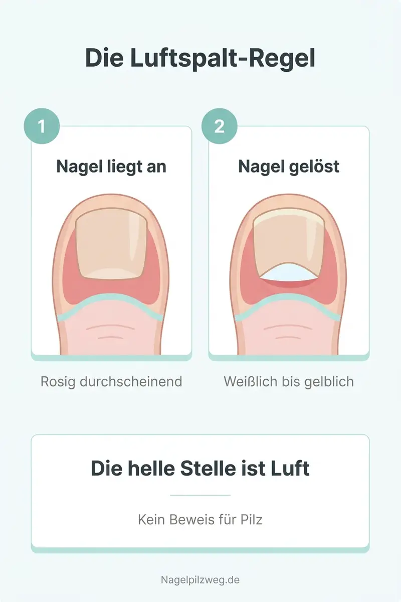Infografik: Die Luftspalt-Regel erklärt die helle Stelle am Nagel