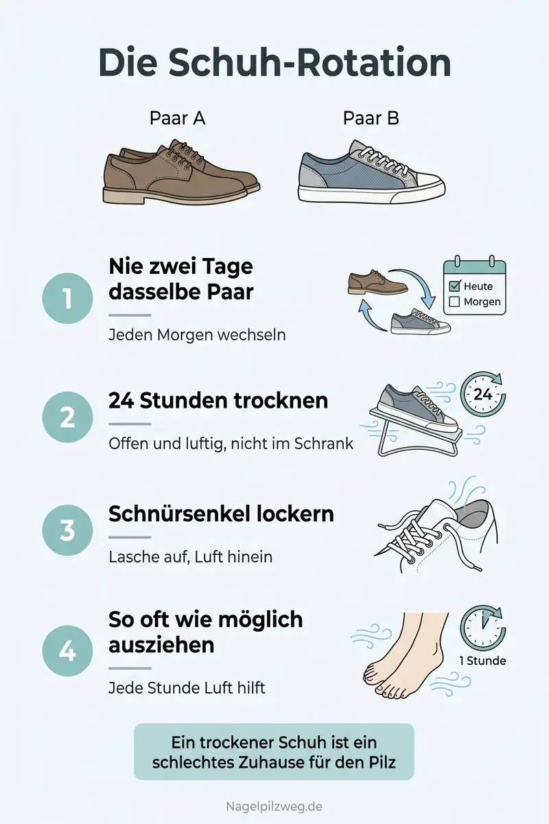 Infografik: Die Schuh-Rotation im Zwei-Tage-Takt