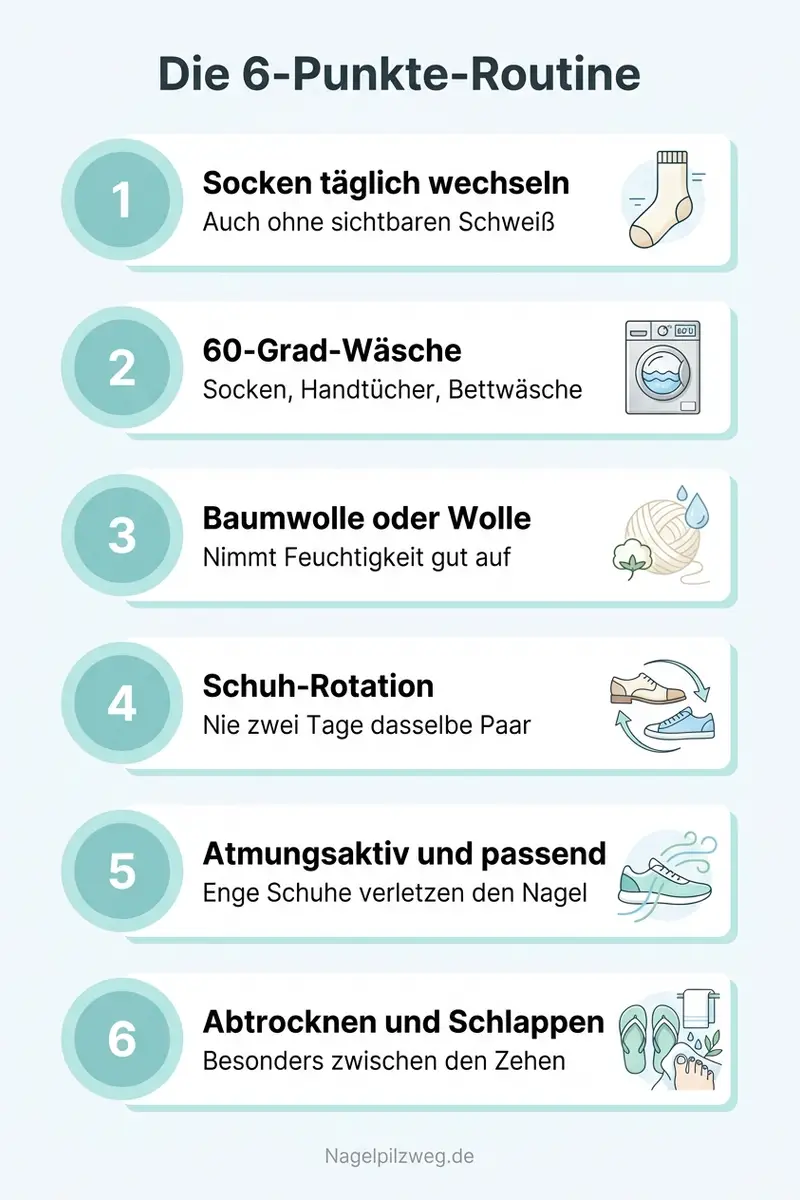 Infografik: Die 6-Punkte-Routine für Schuhe und Socken